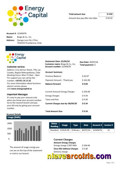 Chile Energy Capital business utility bill
